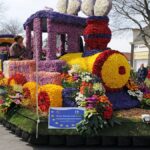 نیدر لینڈ کی حیرت انگیز ، منفرد  اور مسحور کُن پھولوں کی پریڈ